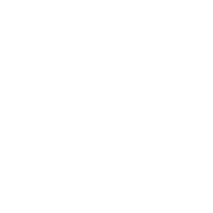 logo ecolems