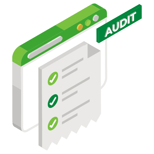 audit