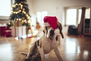 Objectif Noel 2015 : préparez vous dès maintenant !