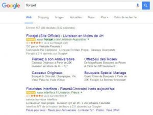 Adwords : nom de marque & Jurisprudence Interflora