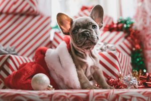 SEA : 4 temps forts pour des campagnes de Noël magiques !