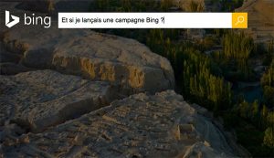 Liens Sponsorisés : êtes-vous prêts pour le Bing bang ?!