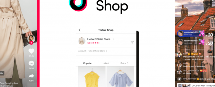 TikTok Ads